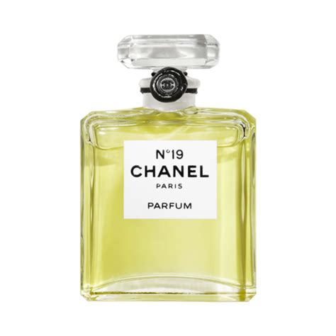 fragrance chanel 19